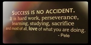 Meet your Posher, Steven